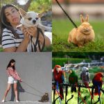 nivel 5324