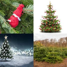 4 Fotos 1 Palabra Enigma diario Diciembre 6 2018