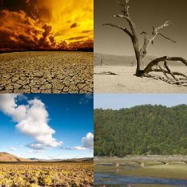 4 Fotos 1 Palabra Enigma diario Enero 30 2018