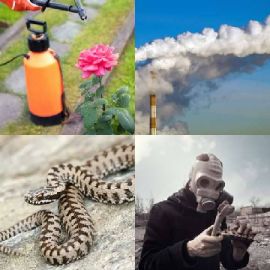 4 Fotos 1 Palabra Enigma diario Febrero 18 2019