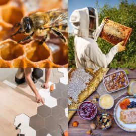 4 Fotos 1 Palabra Abril 23 2026 Rompecabezas de bonificación