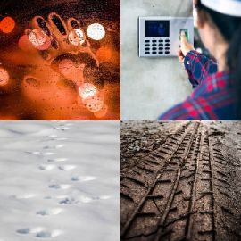 4 Fotos 1 Palabra Octubre 20 2025 Rompecabezas de bonificación