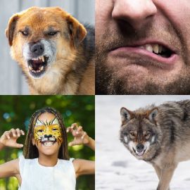 4 Fotos 1 Palabra nivel 5432