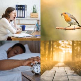 4 Fotos 1 Palabra Enero 11 2026 Rompecabezas de bonificación