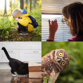 4 Fotos 1 Palabra nivel 5421