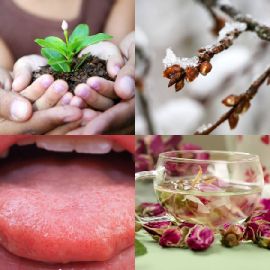 4 Fotos 1 Palabra Enero 14 2026 Rompecabezas de bonificación