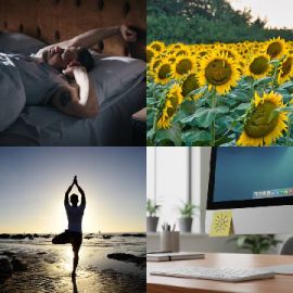 4 Fotos 1 Palabra nivel 146