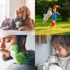 4 Fotos 1 Palabra Enigma diario Febrero 22 2026