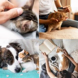 4 Fotos 1 Palabra Enigma diario Febrero 13 2026