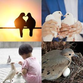 4 Fotos 1 Palabra nivel 5342