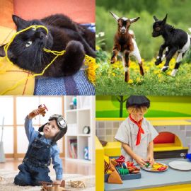 4 Fotos 1 Palabra Febrero 2 2026 Rompecabezas de bonificación