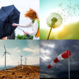 4 Fotos 1 Palabra Enigma diario Marzo 11 2026