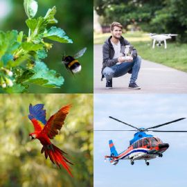 4 Fotos 1 Palabra Enigma diario Marzo 26 2026