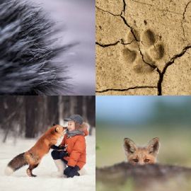 4 Fotos 1 Palabra Enigma diario Abril 17 2026