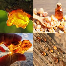 4 Fotos 1 Palabra Abril 8 2026 Rompecabezas de bonificación