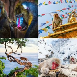 4 Fotos 1 Palabra Enigma diario Abril 23 2026