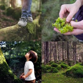 4 Fotos 1 Palabra Enigma diario Abril 3 2026