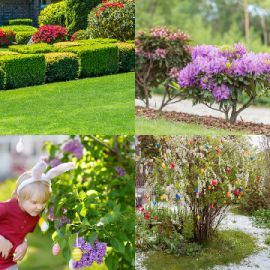 4 Fotos 1 Palabra Enigma diario Abril 8 2026