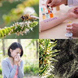 4 Fotos 1 Palabra Abril 5 2026 Rompecabezas de bonificación