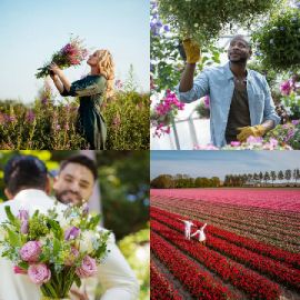 4 Fotos 1 Palabra Abril 2 2026 Rompecabezas de bonificación