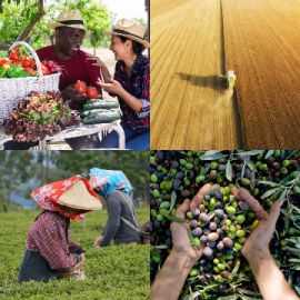 4 Fotos 1 Palabra Abril 21 2026 Rompecabezas de bonificación