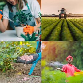 4 Fotos 1 Palabra Abril 7 2026 Rompecabezas de bonificación