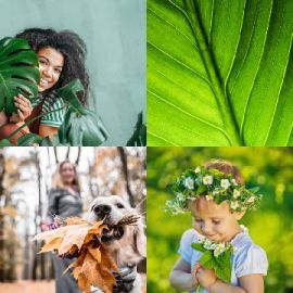 4 Fotos 1 Palabra Enigma diario Abril 15 2026