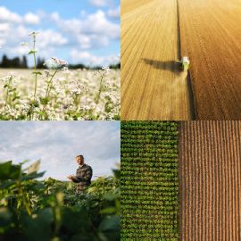 4 Fotos 1 Palabra Enigma diario Abril 6 2026