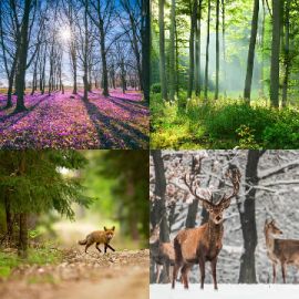 4 Fotos 1 Palabra Enigma diario Abril 14 2026