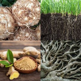 4 Fotos 1 Palabra Enigma diario Abril 19 2026