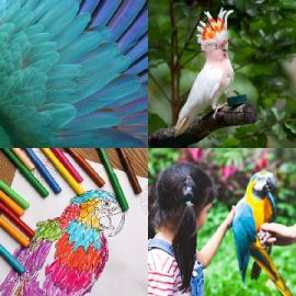 4 Fotos 1 Palabra Enigma diario Abril 20 2026