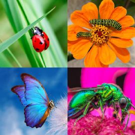 4 Fotos 1 Palabra Abril 1 2026 Rompecabezas de bonificación