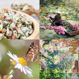 4 Fotos 1 Palabra nivel 5401