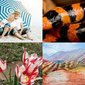 4 Fotos 1 Palabra Abril 15 2026 Rompecabezas de bonificación