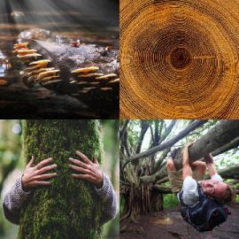 4 Fotos 1 Palabra Enigma diario Abril 12 2026