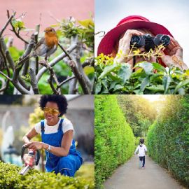 4 Fotos 1 Palabra Abril 24 2026 Rompecabezas de bonificación