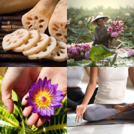 4 Fotos 1 Palabra Abril 29 2026 Rompecabezas de bonificación