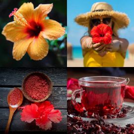 4 Fotos 1 Palabra Abril 26 2026 Rompecabezas de bonificación