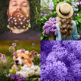 4 Fotos 1 Palabra Abril 30 2026 Rompecabezas de bonificación