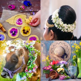 4 Fotos 1 Palabra Abril 20 2026 Rompecabezas de bonificación