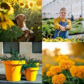 4 Fotos 1 Palabra Abril 6 2026 Rompecabezas de bonificación