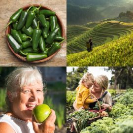 4 Fotos 1 Palabra Enigma diario Abril 22 2026