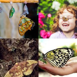 4 Fotos 1 Palabra nivel 5330