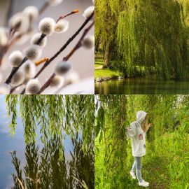 4 Fotos 1 Palabra nivel 5332