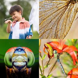 4 Fotos 1 Palabra nivel 2743