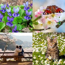 4 Fotos 1 Palabra nivel 5399