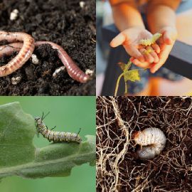 4 Fotos 1 Palabra nivel 5398